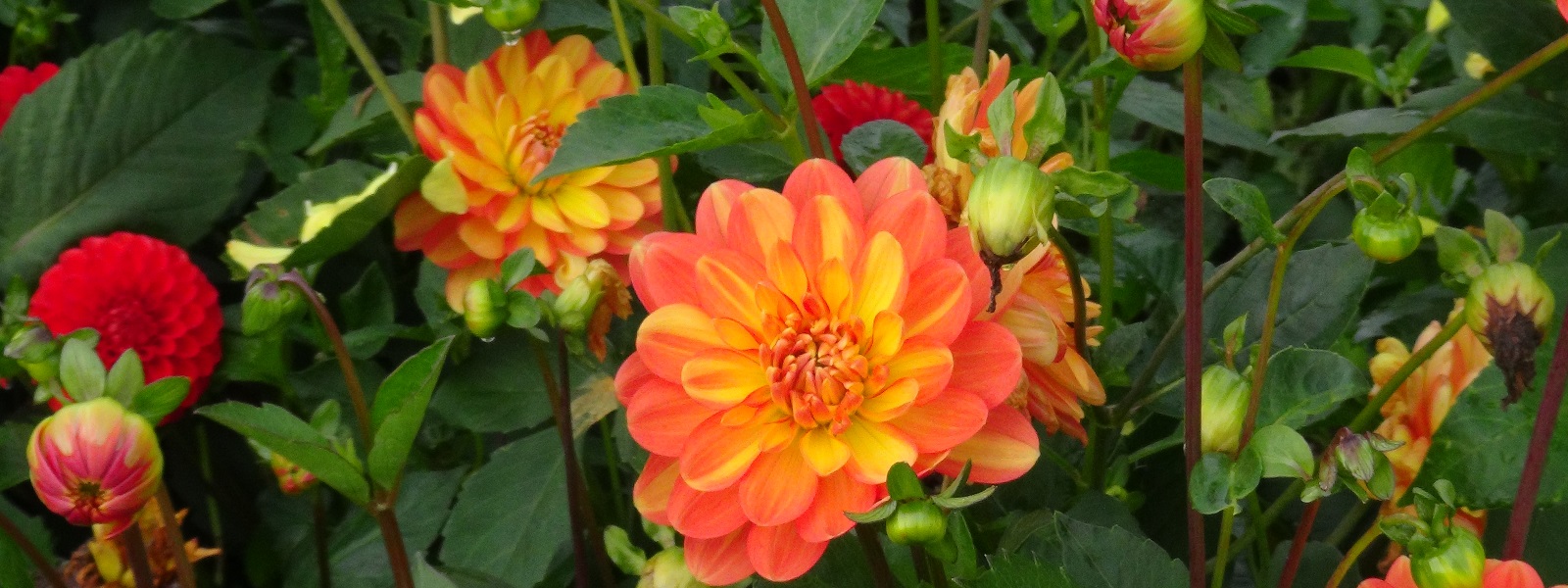 Blumenverkauf