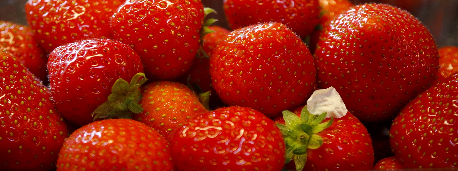 Aktuelles