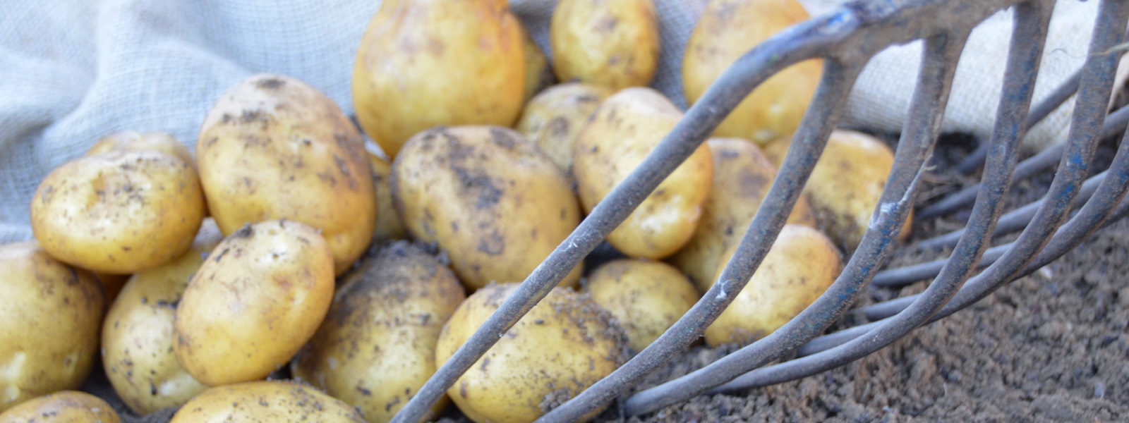 Aktuelles