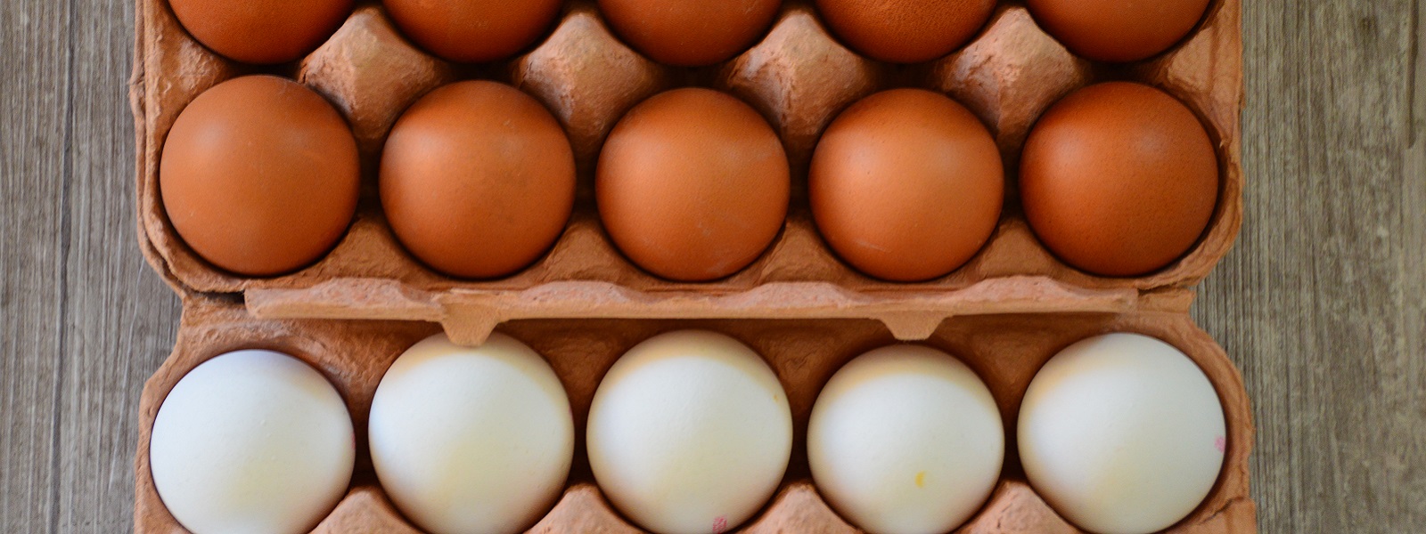 Eier
